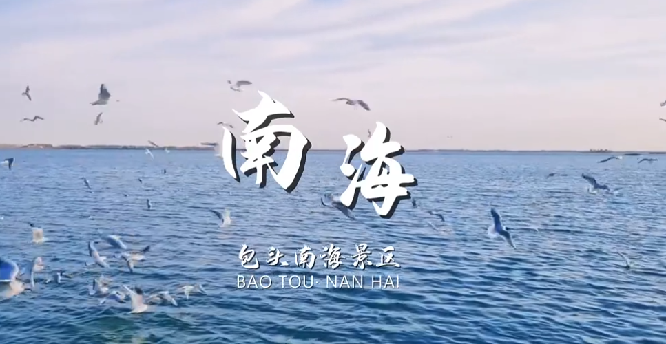 南海湿地景区——候鸟北归奏响春日序曲