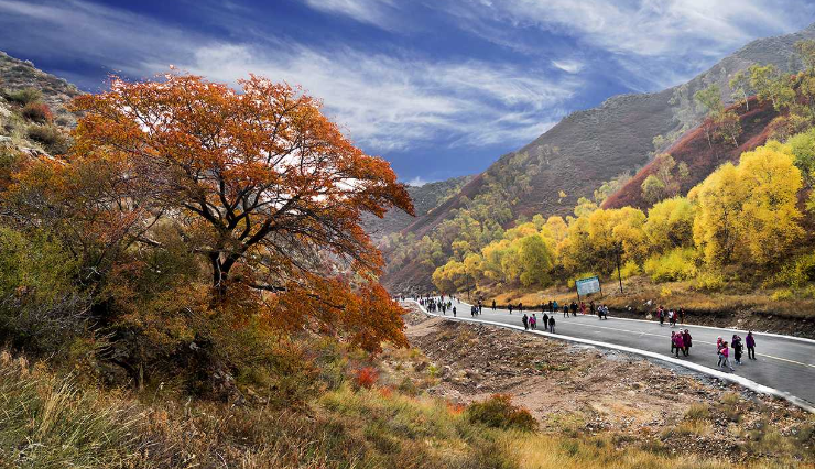 马鞍岭生态旅游区