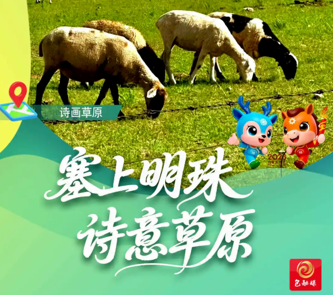 7月1日直播别错过！鹿城燃圣火，见证“十六运”高光时刻